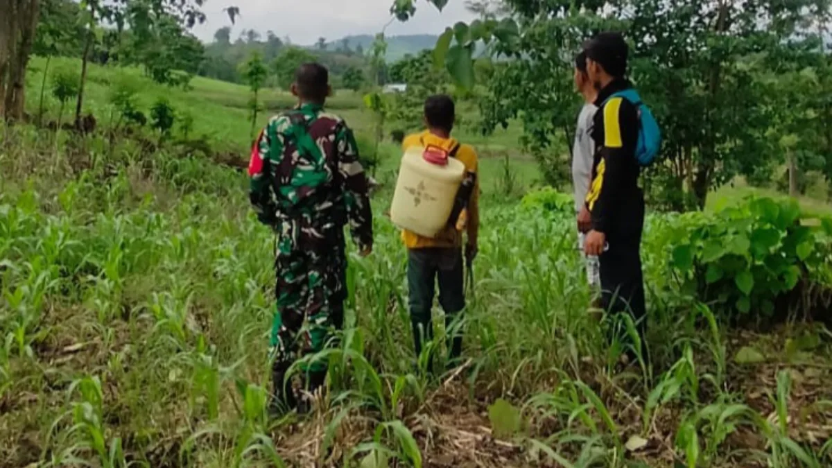 BREAKING NEWS: 12 Jam Petani Hilang di Takalar, Dicari Semalaman, TNI Turun Tangan