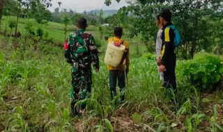 BREAKING NEWS: 12 Jam Petani Hilang di Takalar, Dicari Semalaman, TNI Turun Tangan