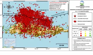 Gempa Susulan Flores M7,7 Capai 9.488 Kejadian, 35 di Antaranya di Atas M5
