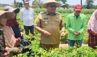 Bupati Takalar Penuhi Kebutuhan Pompa Air Petani Cabai